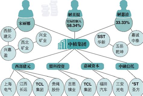 中植系的中央靠山是誰